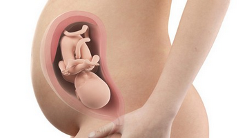 Розвиток дитини на 32-му тижні вагітності