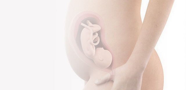 29-й тиждень вагітності: розвиток малюка на цьому тижні
