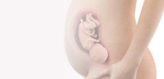 31-й тиждень вагітності: розвиток малюка на цьому тижні. Музика для малюка