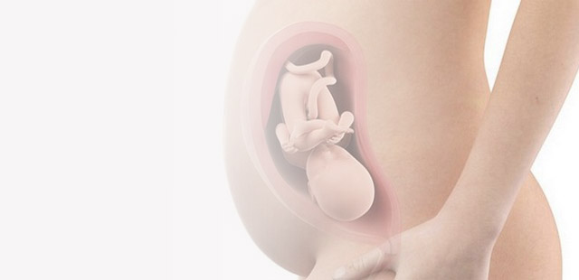 Розвиток дитини на 32-му тижні вагітності
