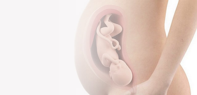 35-й тиждень вагітності: розвиток малюка на цьому тижні 