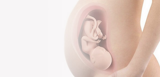 37-й тиждень вагітності: розвиток малюка на цьому тижні