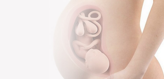 38-й тиждень вагітності: розвиток малюка на цьому тижні