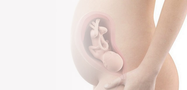 Три чверті вагітності позаду: фізіологічні і емоційні зміни
